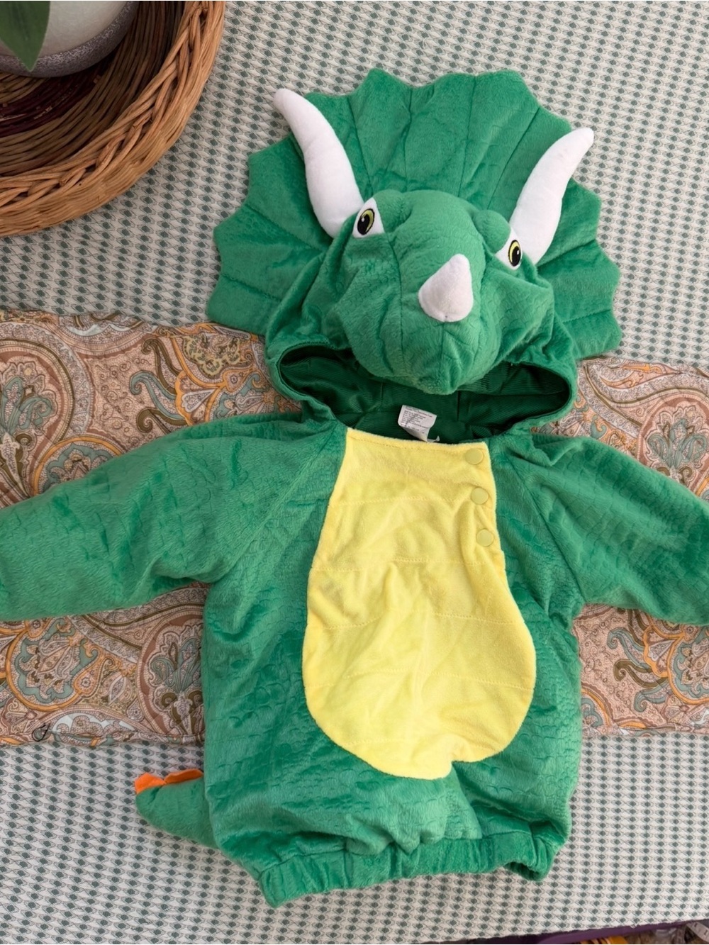 Baby Triceratops Dinosaur Halloween Costume Plush Green 12-18 Months
Absolutely